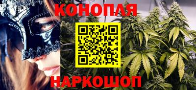 шишки Шелехов