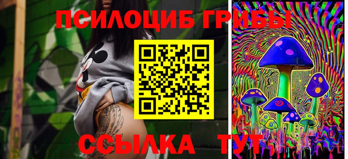 Галлюциногенные грибы прущие грибы  Вход с VPN  Бахчисарай 