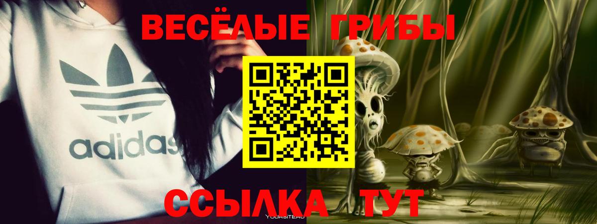 Псилоцибиновые грибы ЛСД Бахчисарай
